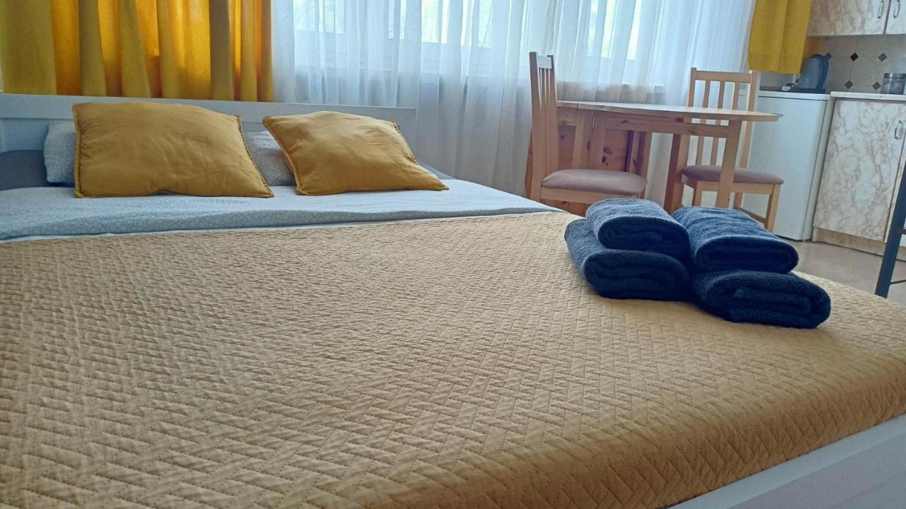 Kawalerka Czestochowa 17 Apartment Ngoại thất bức ảnh